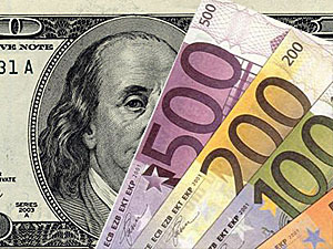 На собрание коллекции косолапых финансист потратил 15 лет жизни и $3 млн.